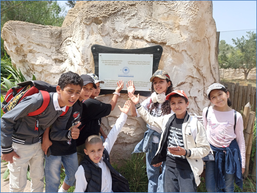 Teach for Morocco